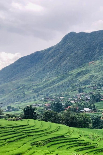 Sapa: Private Trekking Tour (Full Day, Lunch + Herbal Bath) - Cultural Experiences