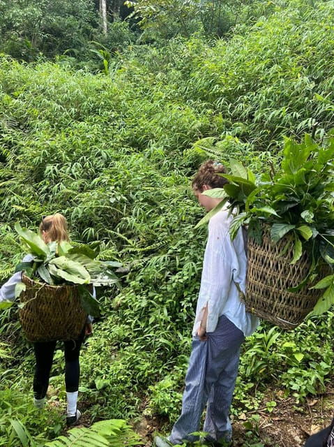 Sapa: Real Local Life of Dao People: Herbal Bath, Local Food - Cultural Insights