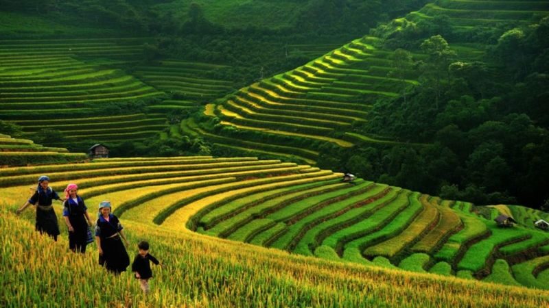 Sapa Red Dao Village Half-Day Guided Hike & Herbal Foot Bath - A Sapa hike with a purpose