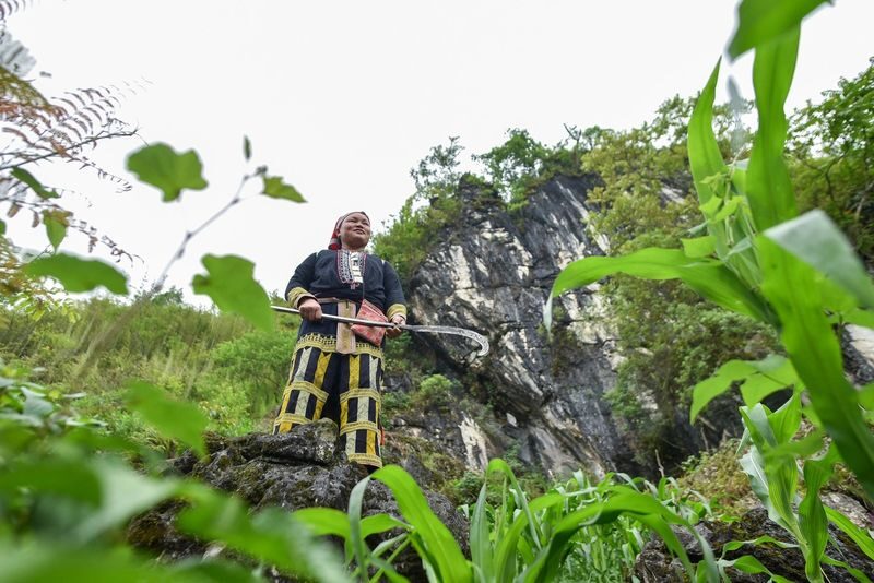Sapa Red Dao Village Half-Day Guided Hike & Herbal Foot Bath - From Sapa Town to Giang Ta Chai