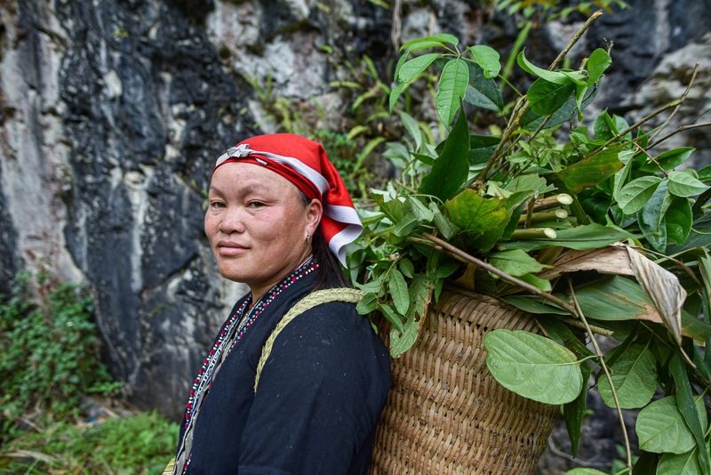 Sapa Red Dao Village Half-Day Guided Hike & Herbal Foot Bath - Lunch offers a pause in the village