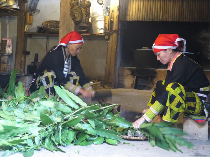 Sapa Red Dao Village Half-Day Guided Hike & Herbal Foot Bath - Who will enjoy this tour most