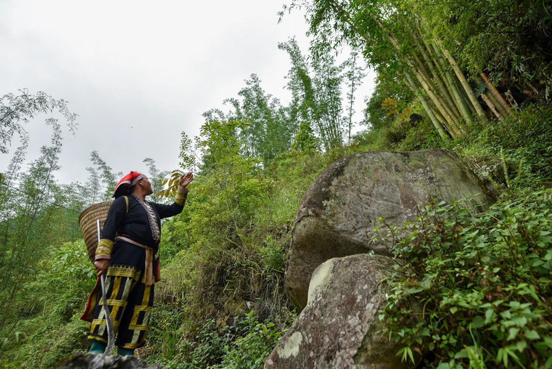 Sapa Red Dao Village Half-Day Guided Hike & Herbal Foot Bath - Should you book the Red Dao herbal hike?