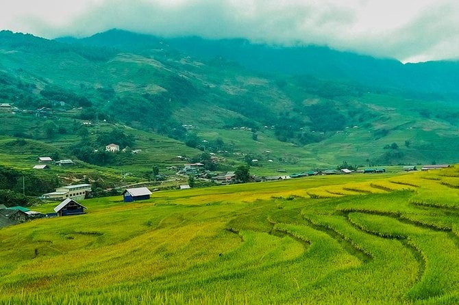 Sapa Rice Terraces 2-Day Small-Group Tour - Traveler Photos and Reviews