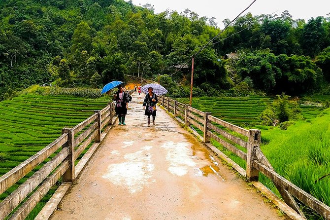 Sapa Rice Terraces 2-Day Small-Group Tour - Common Questions