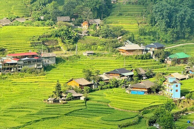 Sapa Scenic Journey at Terraced Fields and Local Village Life - FAQ