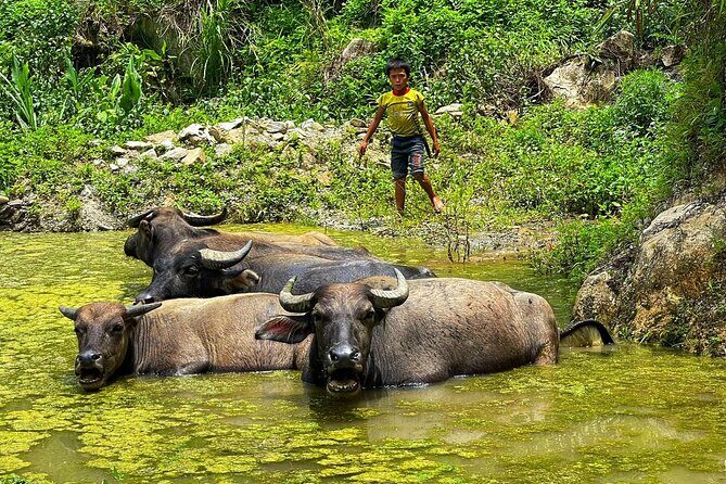 Sapa Scenic Journey at Terraced Fields and Local Village Life - Good To Know
