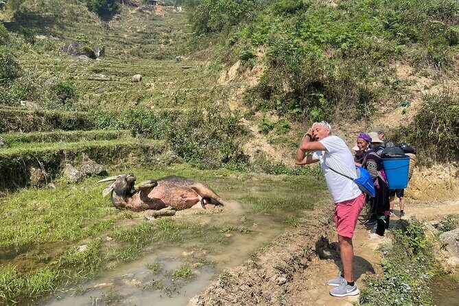 Sapa Scenic Journey at Terraced Fields and Local Village Life - The Practicalities & Highlights