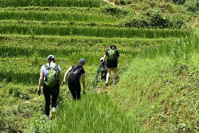 Sapa: Scenic Trek Through Majestic Rice Terraces & Rural Villages - FAQ