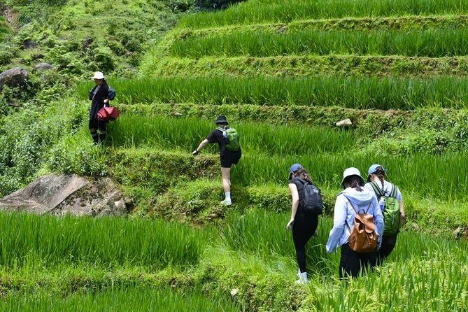 Sapa Scenic Trekking through Rice Terraces & Local Villages - Frequently Asked Questions (FAQs)
