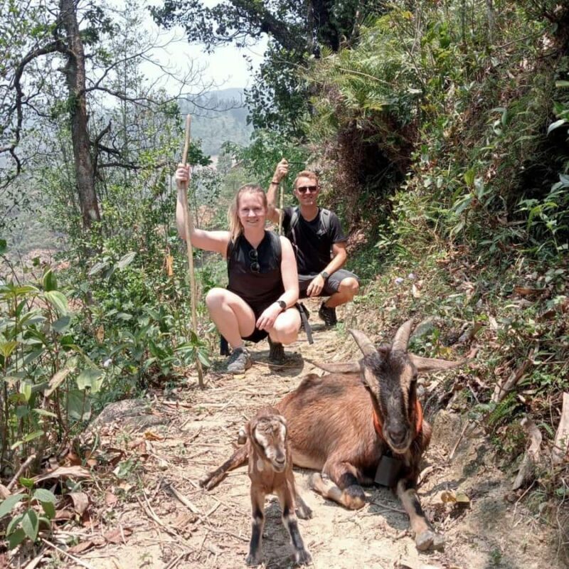 Sapa: Suoi Ho and Ta Phin Hard Trek with Herbal Bath - Authentic Experiences and Local Insights