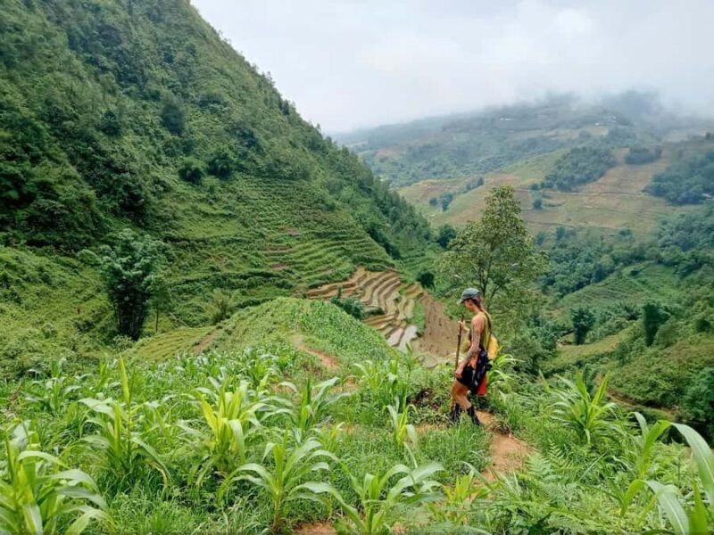 Sapa: T Van to Su Pan Guided Trek with Local Guide - Sapa: T Van to Su Pan Guided Trek with Local Guide – A Complete Review