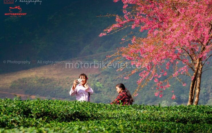 Sapa Tour: 2 Days - Classic Hikking Tour - Booking Information