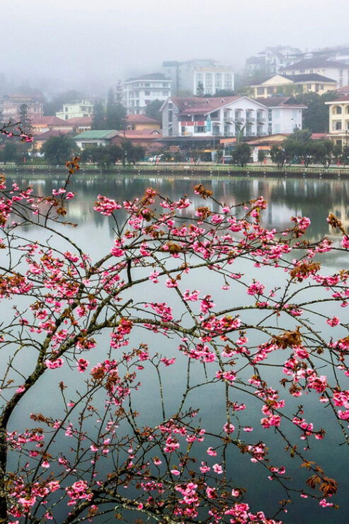 SAPA TOUR 3 DAYS 2 NIGHTS PACKAGE - DEPART IN THE EVENING - Itinerary Highlights