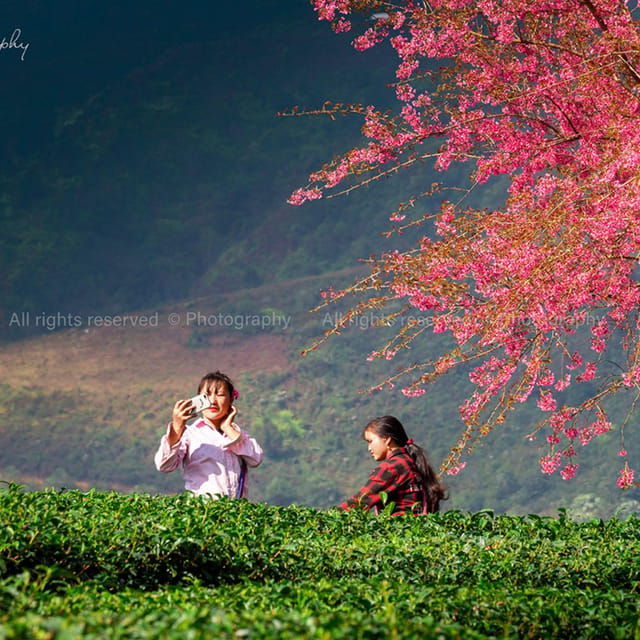 SAPA TOUR 3 DAYS 2 NIGHTS PACKAGE - DEPART IN THE EVENING - Included Services