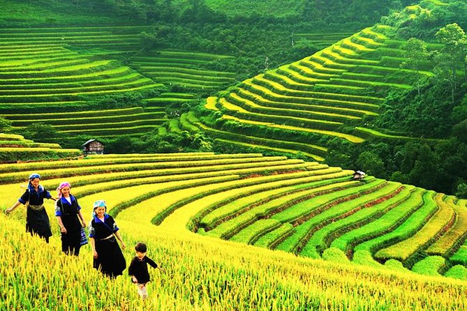 Sapa Tours 2D1N Stay at 4 Stars Hotel Nice Sleeping Bus TRANSFER - Tour Highlights