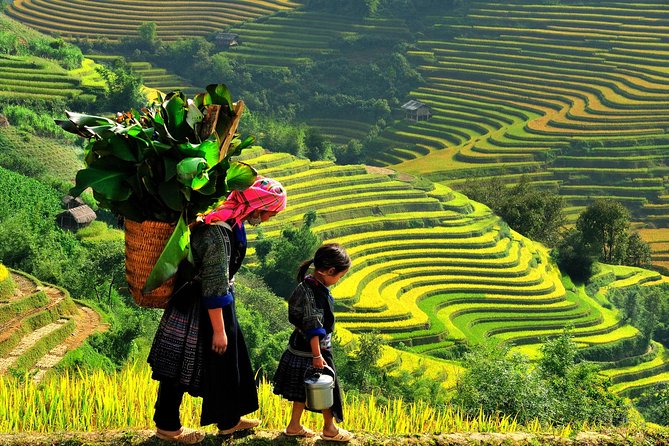 Sapa Tours 2D1N Stay at 4 Stars Hotel Nice Sleeping Bus TRANSFER - Common Questions