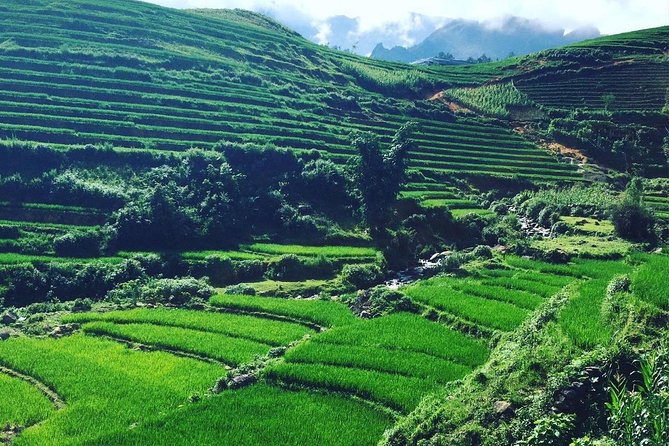 Sapa Tours : 2days/1nights With Fansipan Peak - the Roof of Indochina - Common Questions