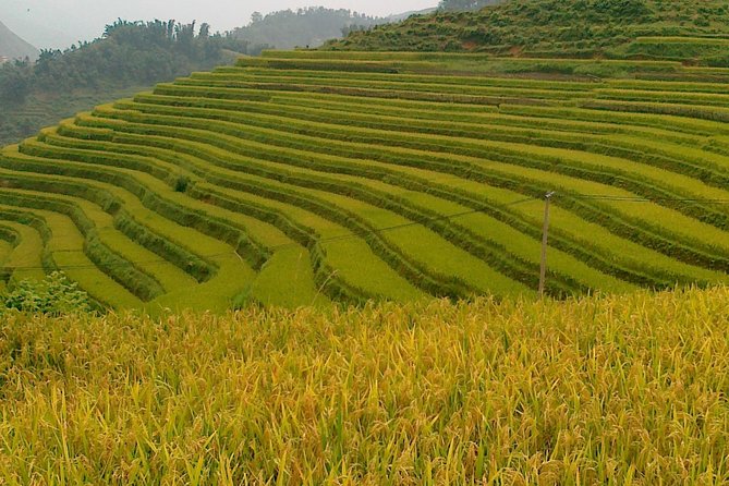 Sapa Tours - Reviews