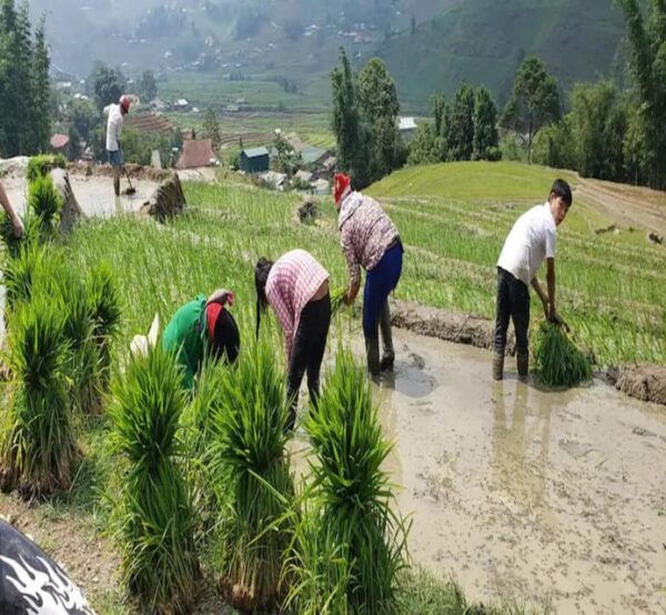 Sapa: Traditional Cooking Class With Local Hmong Family - Participant Guidelines