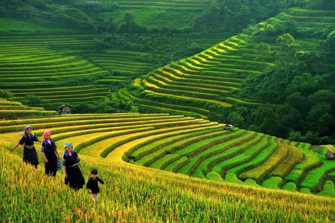 Sapa Trek 3 Days 3 Nights Small Group Tour - Homestay and Hotel From Hanoi - Tour Pricing and Guarantee