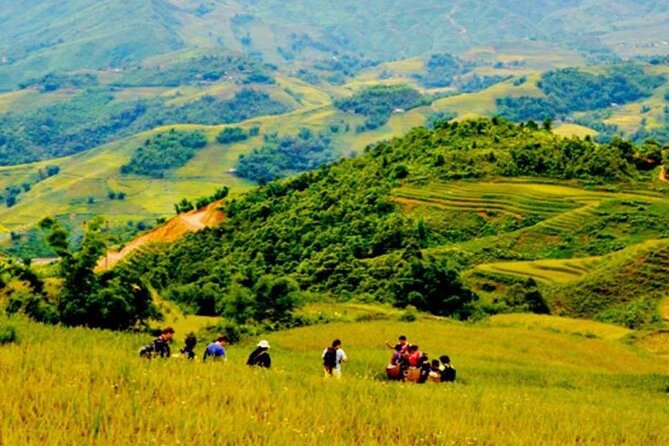 Sapa Trek 3 Days 3 Nights Small Group Tour - Homestay and Hotel From Hanoi - Cancellation Policy