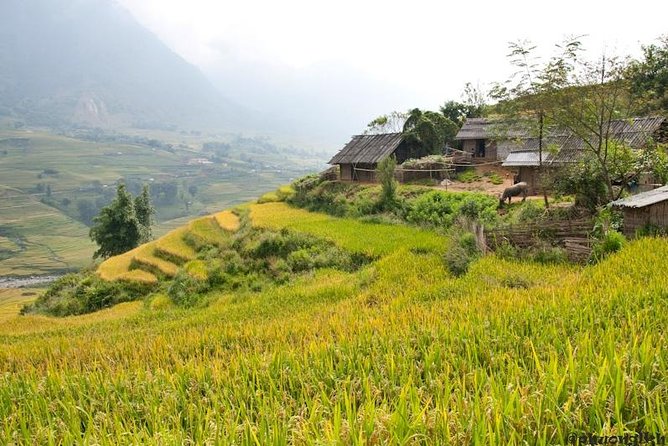 Sapa Trek Experience 2 Days at Homestay - Homestay Experience Details