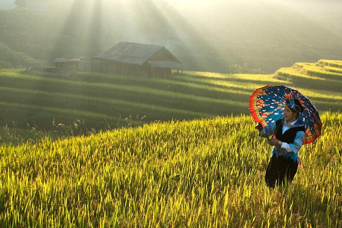 Sapa Trekking 2 Days 1 Night - Trekking Difficulty Level