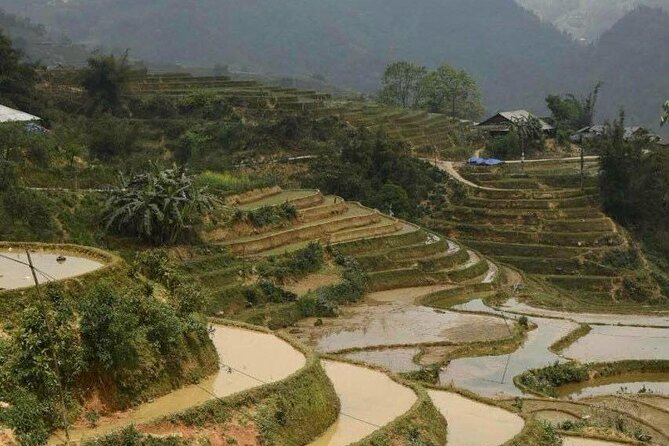Sapa Trekking 2 Days 1 Night Transfer By Sleeper Bus - Trekking Highlights