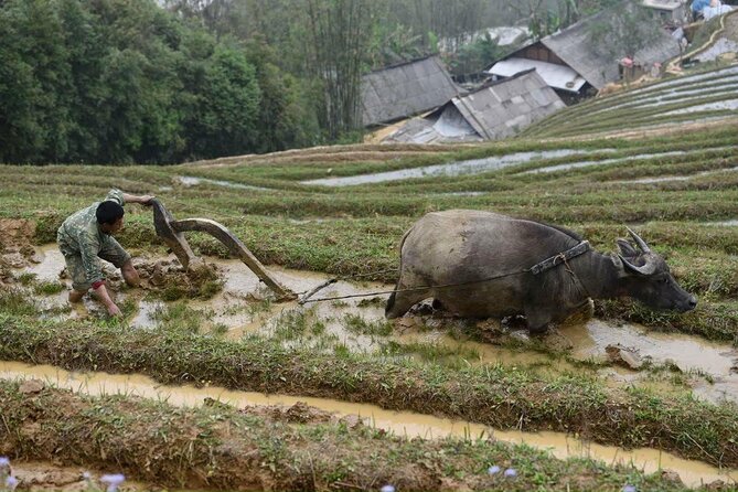 Sapa Trekking 2 Days 1 Night Transfer By Sleeper Bus - Meals and Refreshments