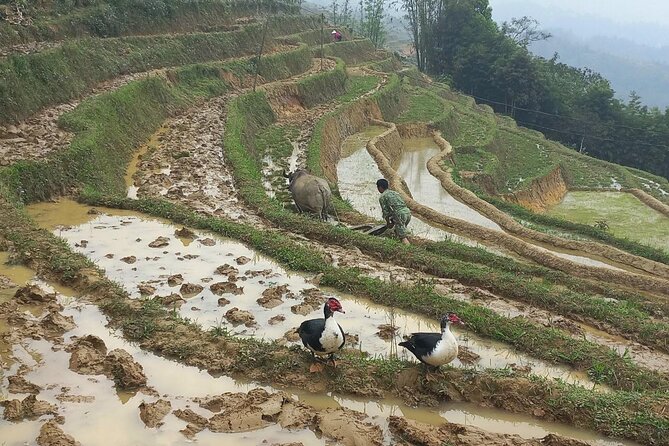 Sapa Trekking 2 Days 1 Night Transfer By Sleeper Bus - Common Questions