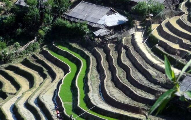 Sapa Trekking 3 Days 2 Night - VIP Sleeper Bus From Hanoi - Included Services