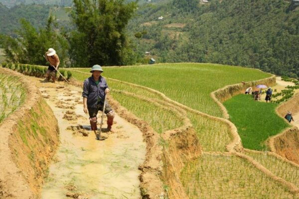 Sapa Trekking 3 Days 2 Night - VIP Sleeper Bus From Hanoi - Cultural Activities