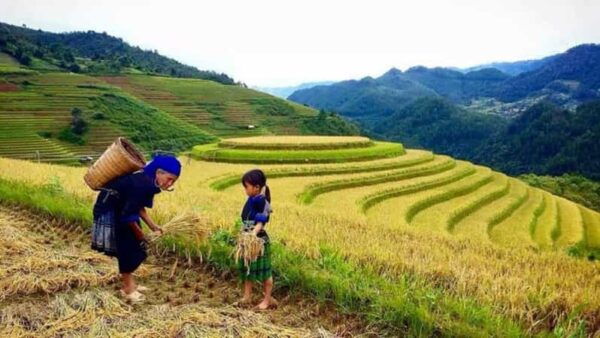 Sapa Trekking 3 Days 2 Night - VIP Sleeper Bus From Hanoi - Booking and Cancellation Policy
