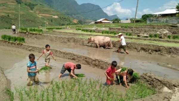 Sapa Trekking 3 Days 2 Night - VIP Sleeper Bus From Hanoi - Frequently Asked Questions