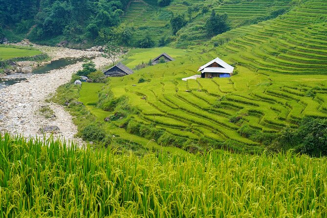 Sapa Trekking 3 Days 2 Nights (Homestay and Hotel) - Departure From Hanoi - Additional Support and Assistance