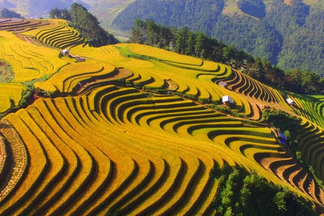 Sapa Trekking at Homestay From Hanoi - Meeting, Pickup, and Cancellation Information