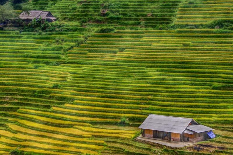 Sapa Trekking Bargains With Local Guide - Why This Tour Offers Excellent Value
