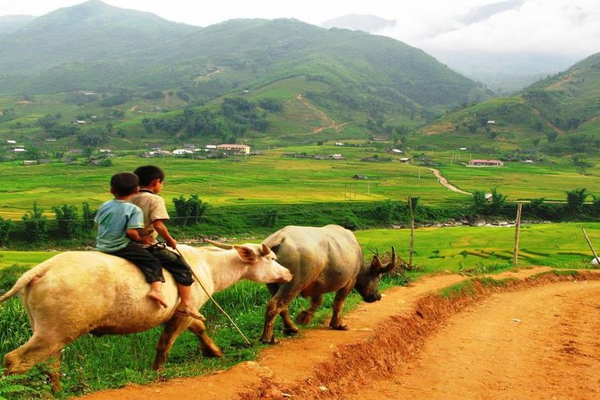 Sapa Trekking by Bus 3D2N (Homestay and Hotel Stay) - Transportation Details