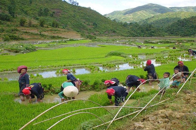Sapa Trekking by Bus 3D2N (Homestay and Hotel Stay) - Frequently Asked Questions