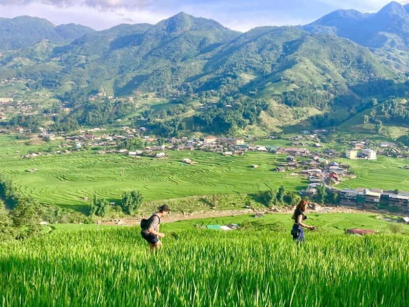 Sapa Trekking Discover Terraced Fields & Ethnic Villages - Discover the Charm of Sapa with a Trekking Experience
