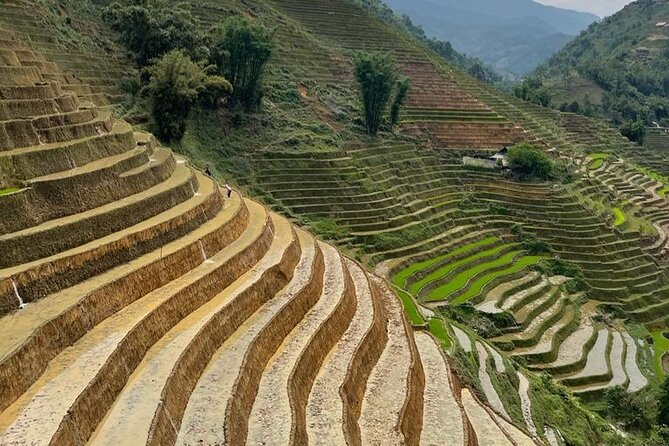 Sapa Trekking Experience Through Terraced Rice Fields - Reviews and Ratings