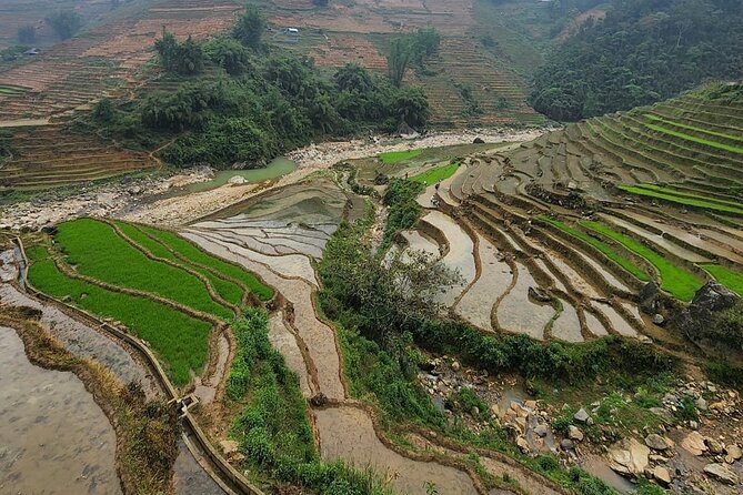 Sapa Trekking Experience Through Terraced Rice Fields - Trekking Routes and Highlights