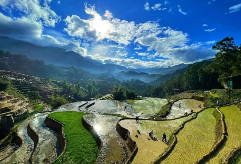 Sapa Trekking Explore Terraced Rice Fields, Ethnic Culture - Good To Know