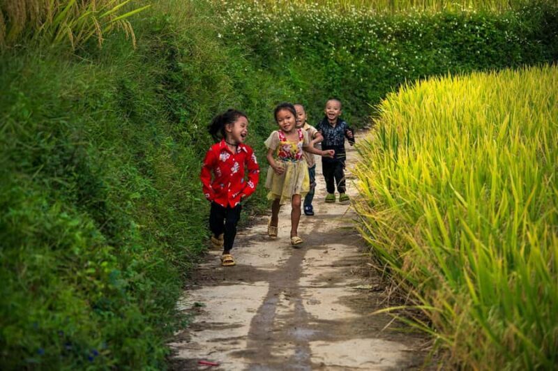 Sapa Trekking Explore Terraced Rice Fields, Ethnic Culture - The Trek Along the Muong Hoa River