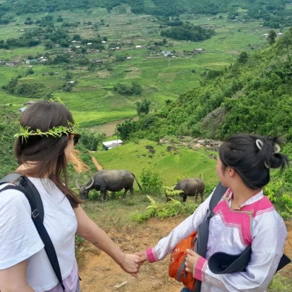Sapa Trekking – Home Stay & Hotel 3 Days - Transfer Options