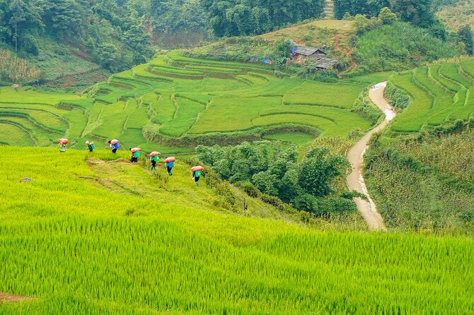 Sapa Trekking & Homestay 2 Days 1 Night - Itinerary Information