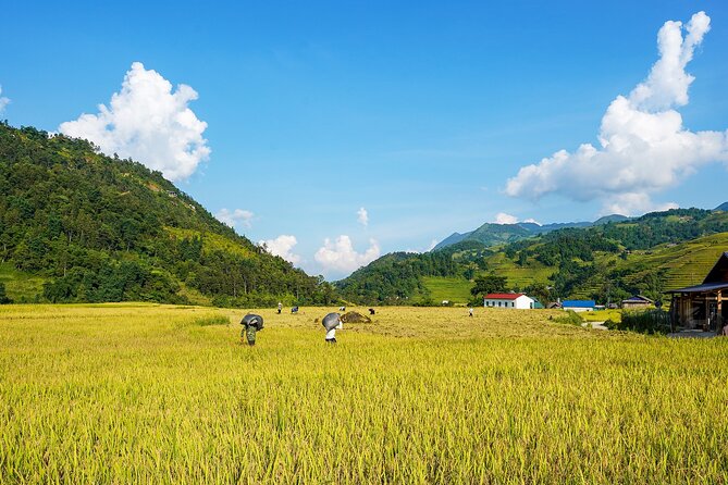 Sapa Trekking & Homestay 2 Days 1 Night - Common Questions