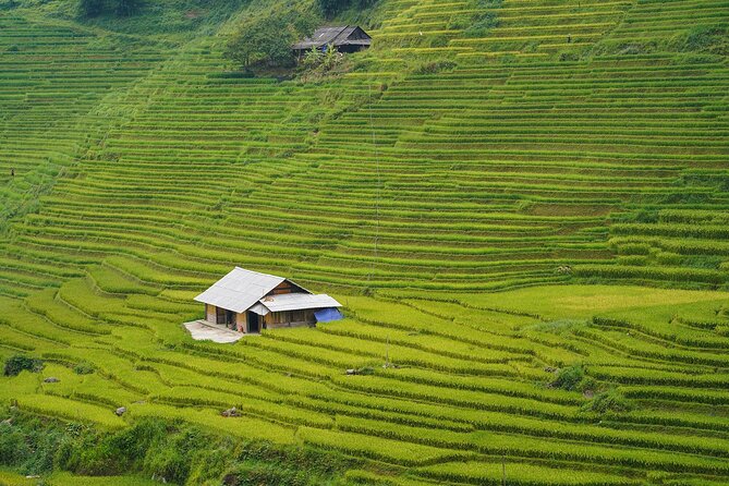 Sapa Trekking & Homestay 3 Days 2 Nights - Departure From Hanoi - Common Questions