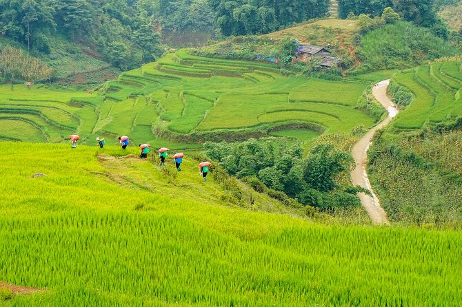 Sapa Trekking & Homestay 3 Days 2 Nights - Departure From Hanoi - The Sum Up